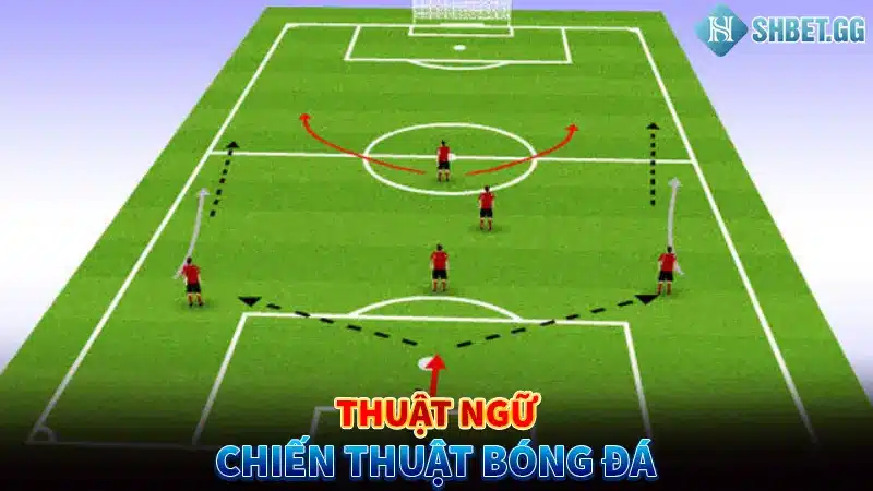 Thuật Ngữ Bóng Đá Là Gì? 5 Loại Thuật Ngữ Phổ Biến Nhất 2023 6 Thuật ngữ chiến thuật bóng đá